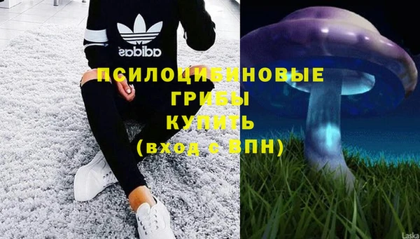 стафф Медногорск