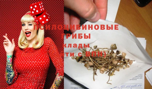 винт Абинск