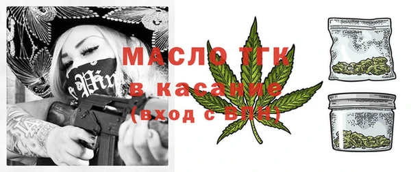 дмт Абаза